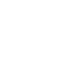 no-fees